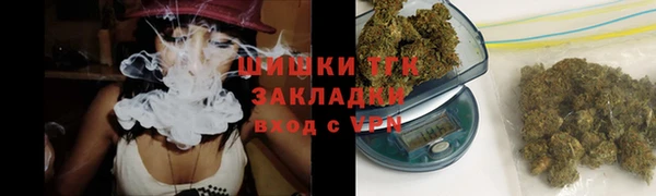 амф Богданович