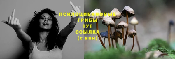 марки lsd Богородск