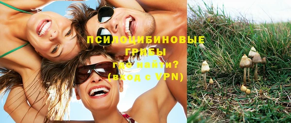 метадон Бородино