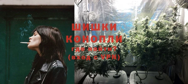 сатива Бугульма