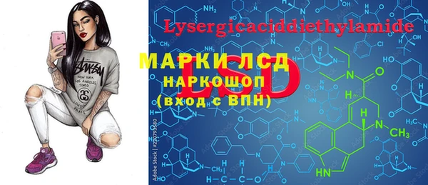 амф Богданович