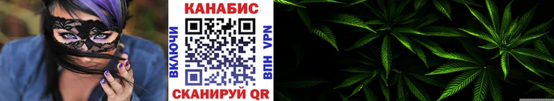 закладки  Балашов  Бошки марихуана сатива 